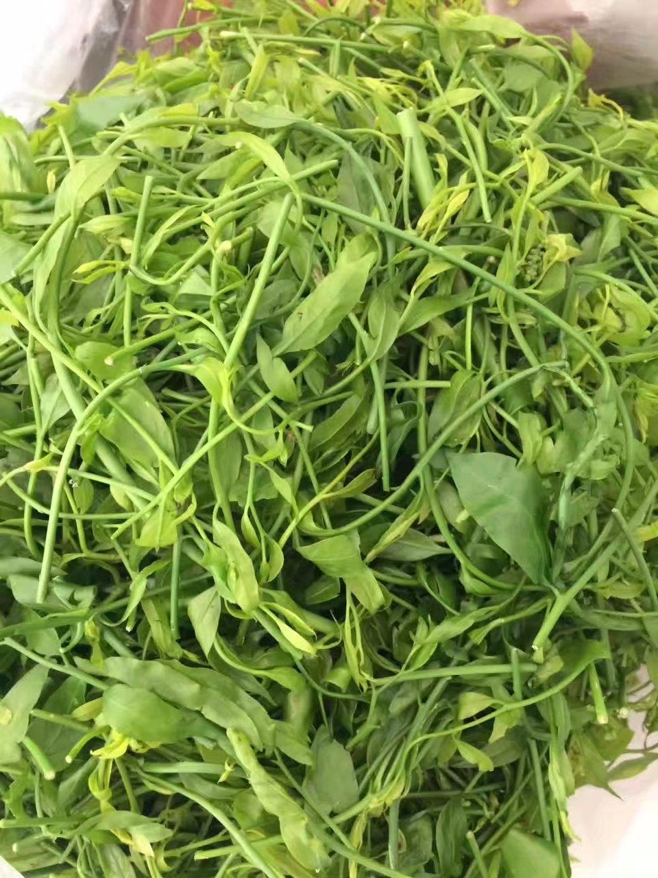 玉溪美食甜菜,玉溪特色美食甜菜,玉溪农家乐甜菜,玉溪农庄甜菜