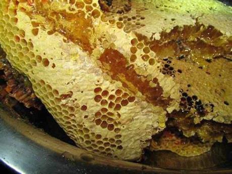 百花蜜真的多少钱一斤 百花蜜真的多少钱一斤呀